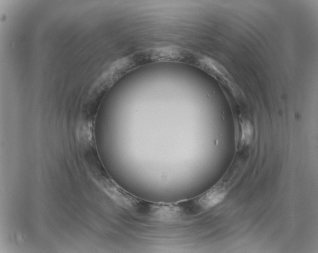 X0000061730621200512091547