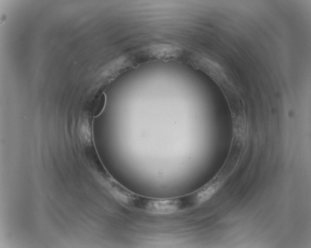 X0000061730622200512091547