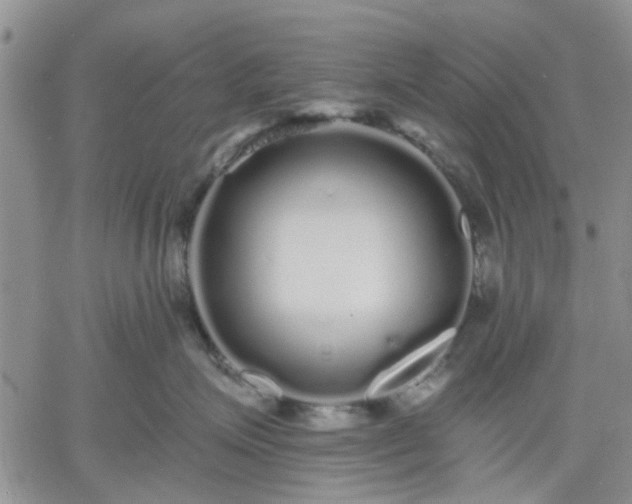 X0000061730623200512091546