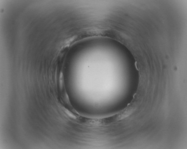 X0000061730624200512091546