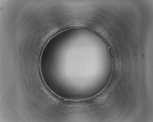 X0000061730625200512091546