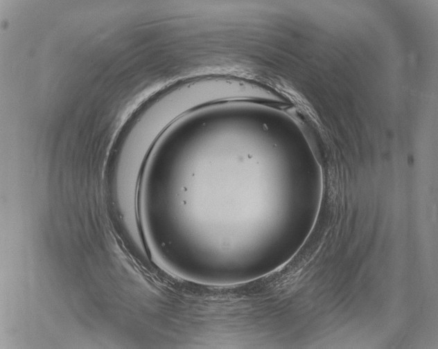 X0000061730628200512091546