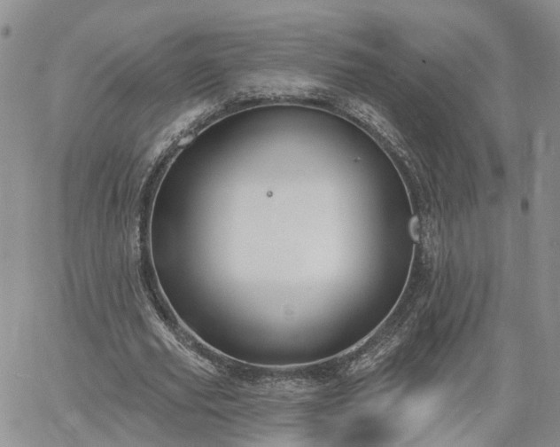 X0000061730629200512091546