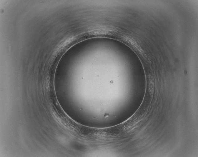 X0000061730631200512091546