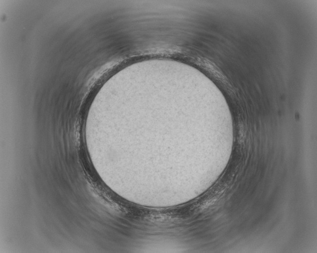 X0000061730632200512091546