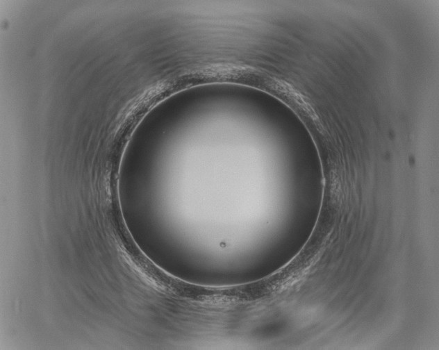 X0000061730633200512091546