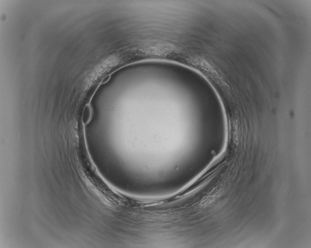 X0000061730634200512091546