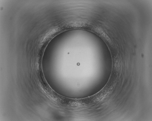 X0000061730635200512091546