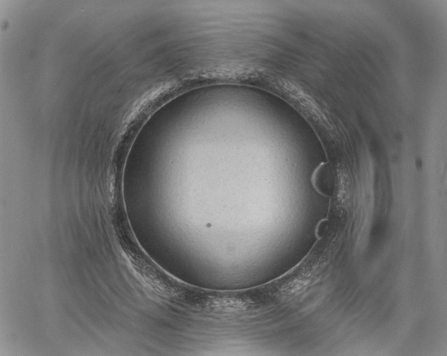 X0000061730636200512091546