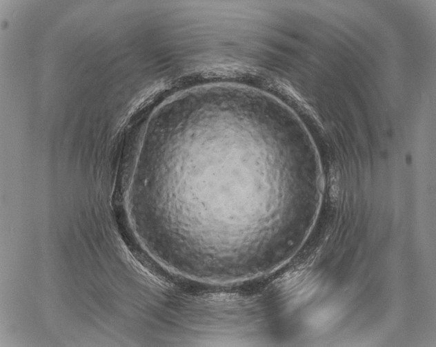 X0000061730637200512091546