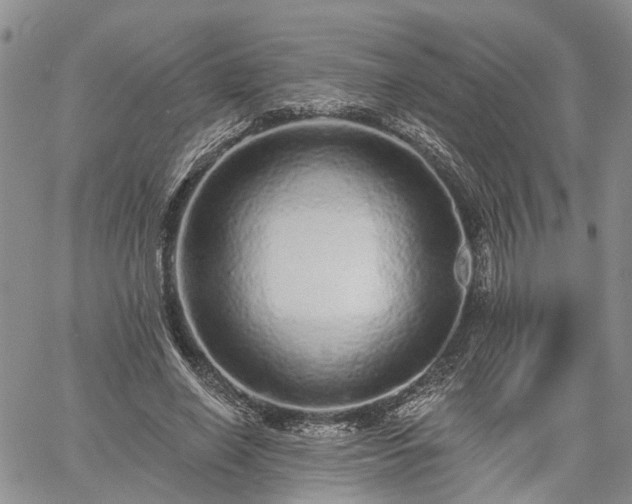 X0000061730638200512091546