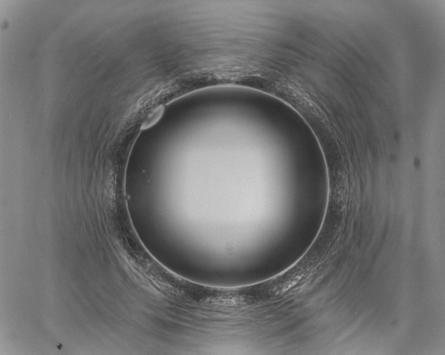 X0000061730639200512091546