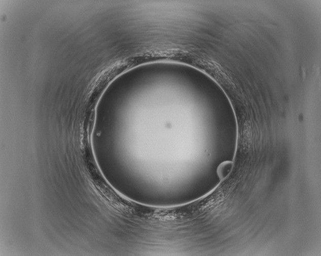 X0000061730640200512091546