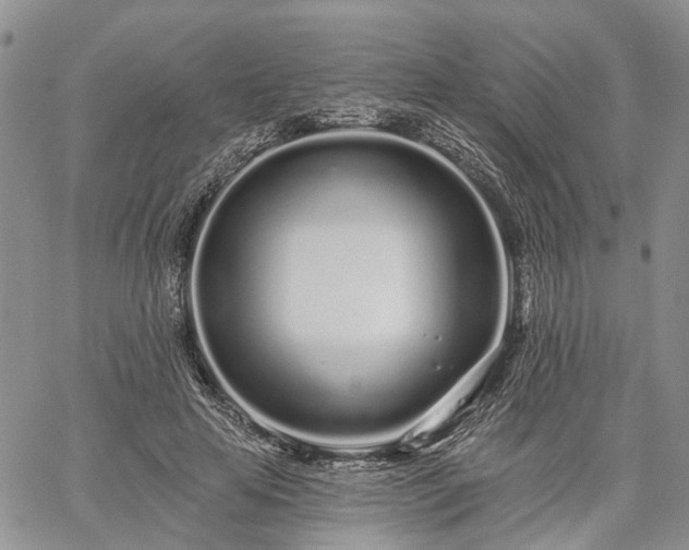 X0000061730641200512091546