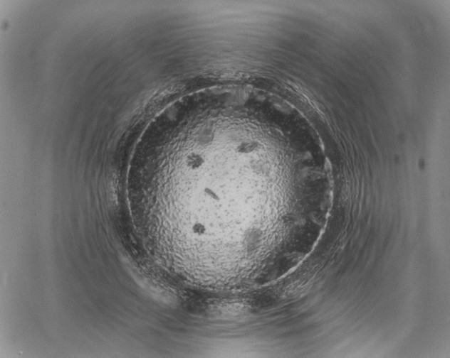 X0000061730643200512091546