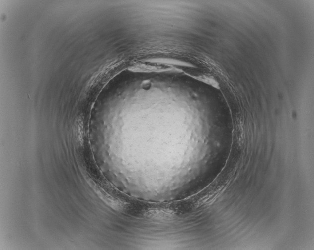 X0000061730644200512091546