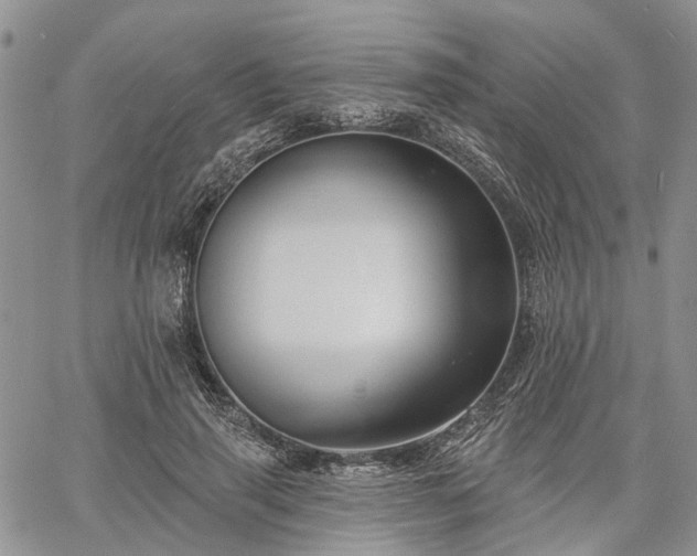 X0000061730645200512091546