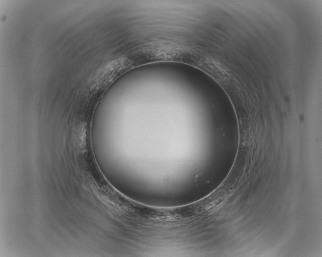 X0000061730646200512091546