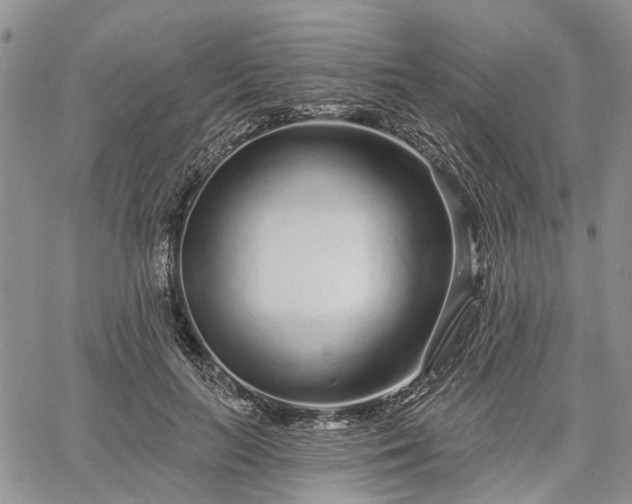 X0000061730647200512091546