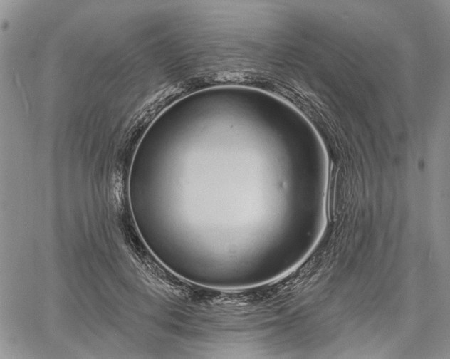 X0000061730648200512091546