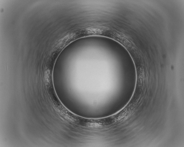 X0000061730649200512091546