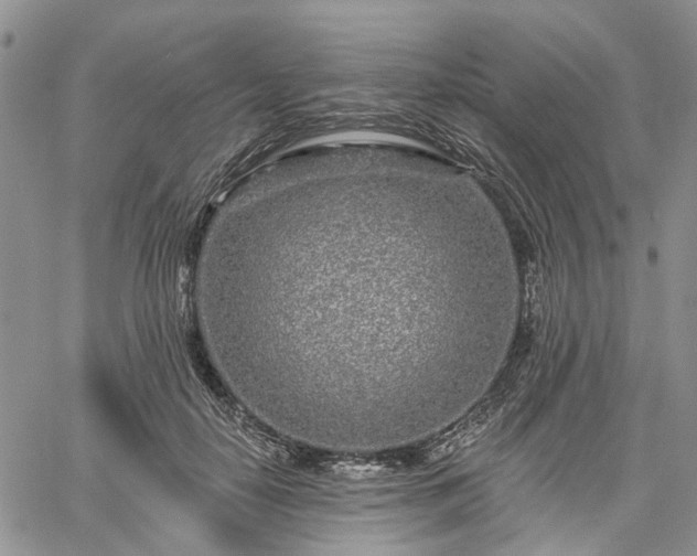 X0000061730650200512091546