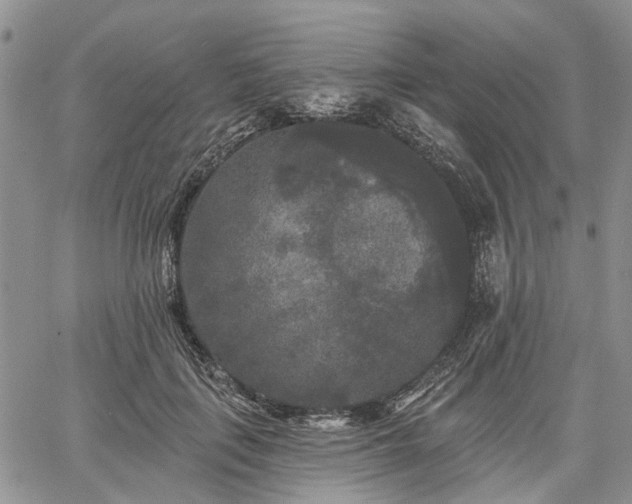 X0000061730651200512091546