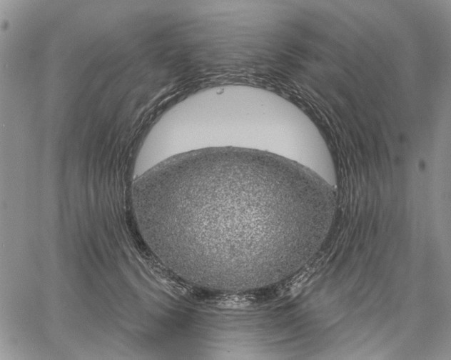 X0000061730656200512091546