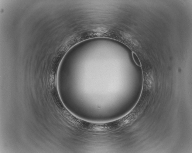 X0000061730657200512091546