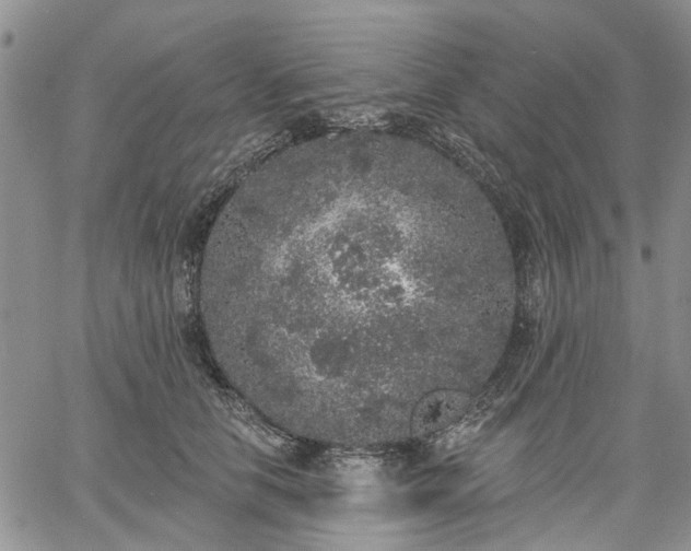 X0000061730658200512091546