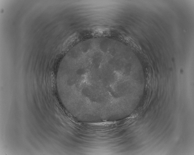 X0000061730659200512091546