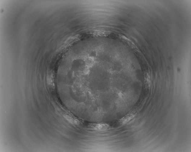 X0000061730663200512091546