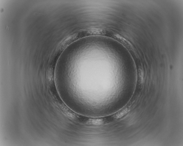 X0000061730665200512091546