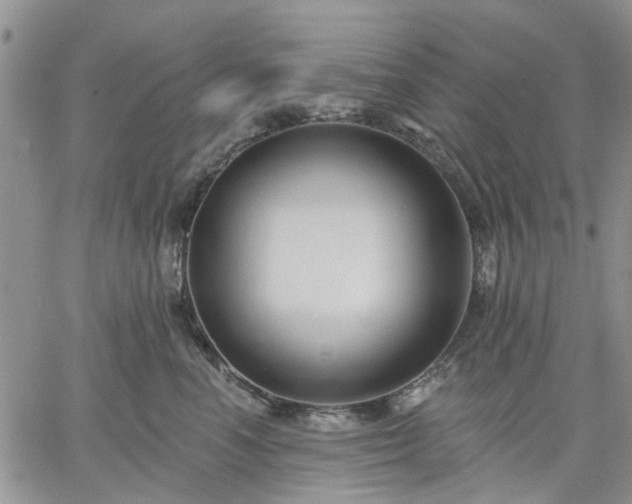 X0000061730666200512091546