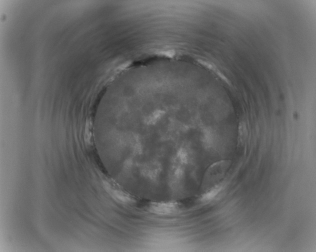 X0000061730671200512091546