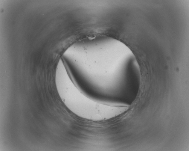 X0000061730672200512091546