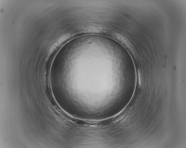 X0000061730675200512091546