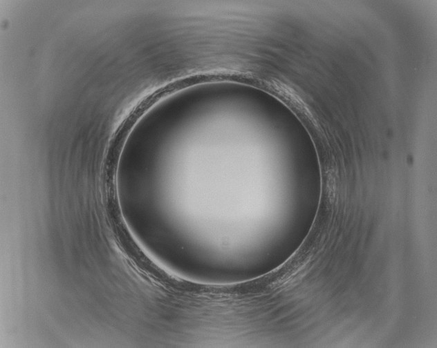 X0000061730676200512091546