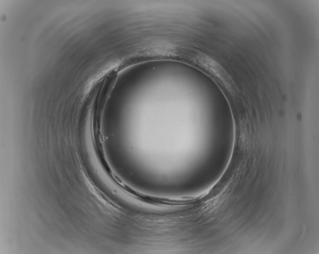 X0000061730677200512091546