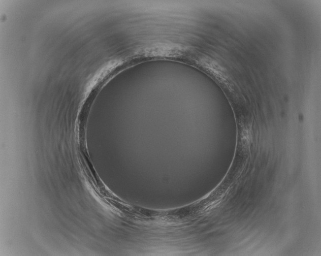 X0000061730678200512091545