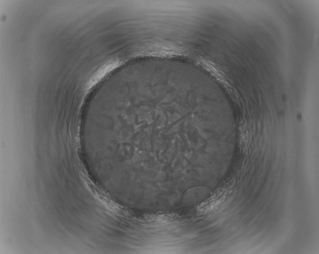 X0000061730679200512091545