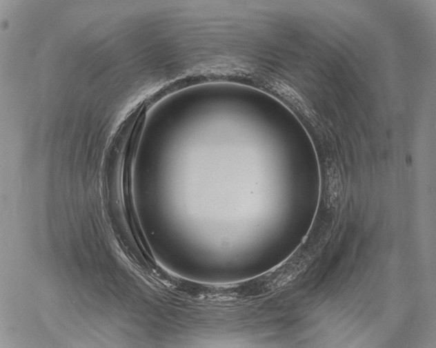 X0000061730680200512091545