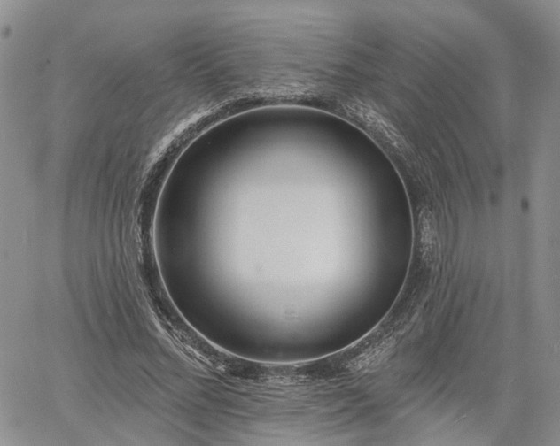 X0000061730684200512091545