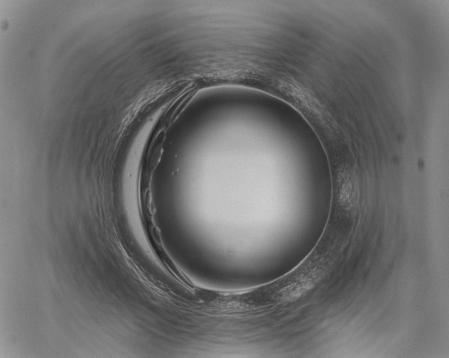 X0000061730685200512091545