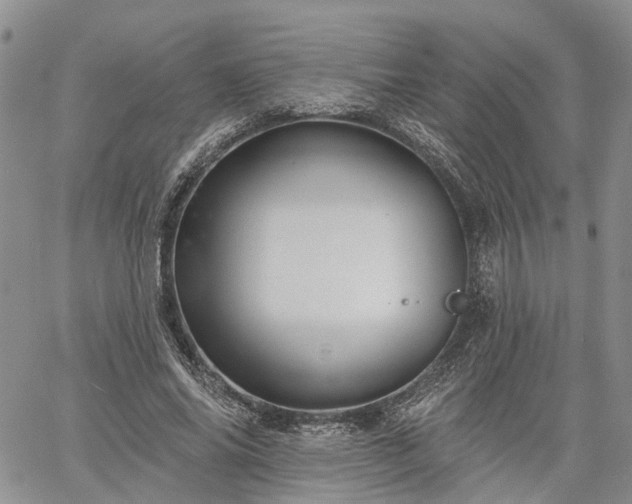 X0000061730686200512091545