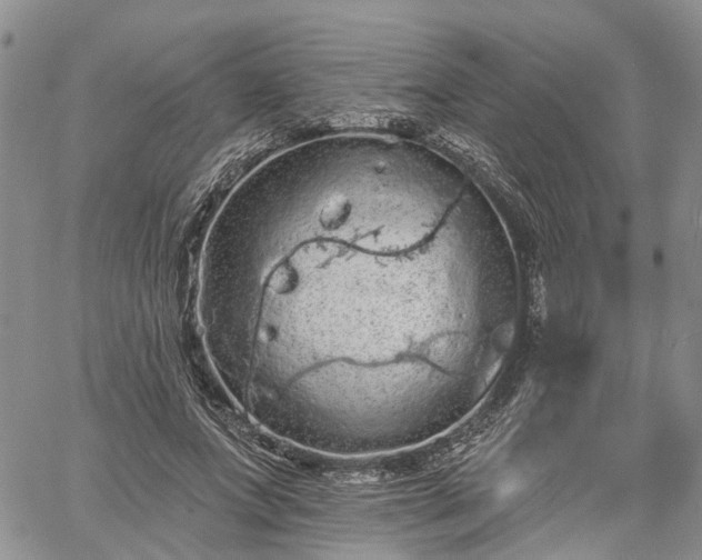 X0000061730687200512091545