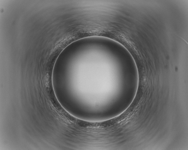 X0000061730689200512091545