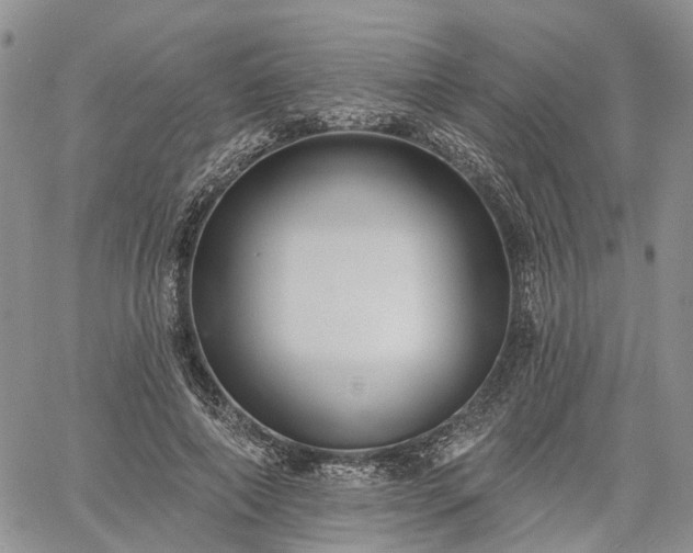 X0000061730690200512091545