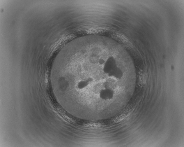 X0000061730691200512091545