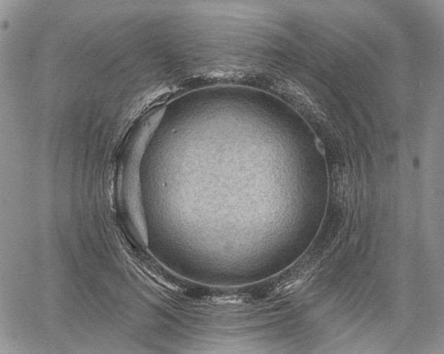 X0000061730692200512091545